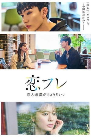 Poster phim Mối Quan Hệ Mập Mờ